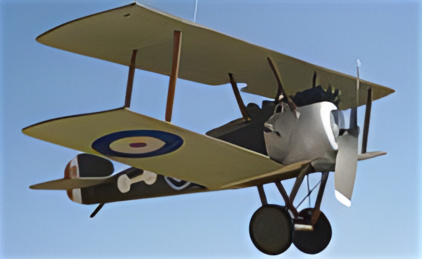 800 - Detailed Scale Models