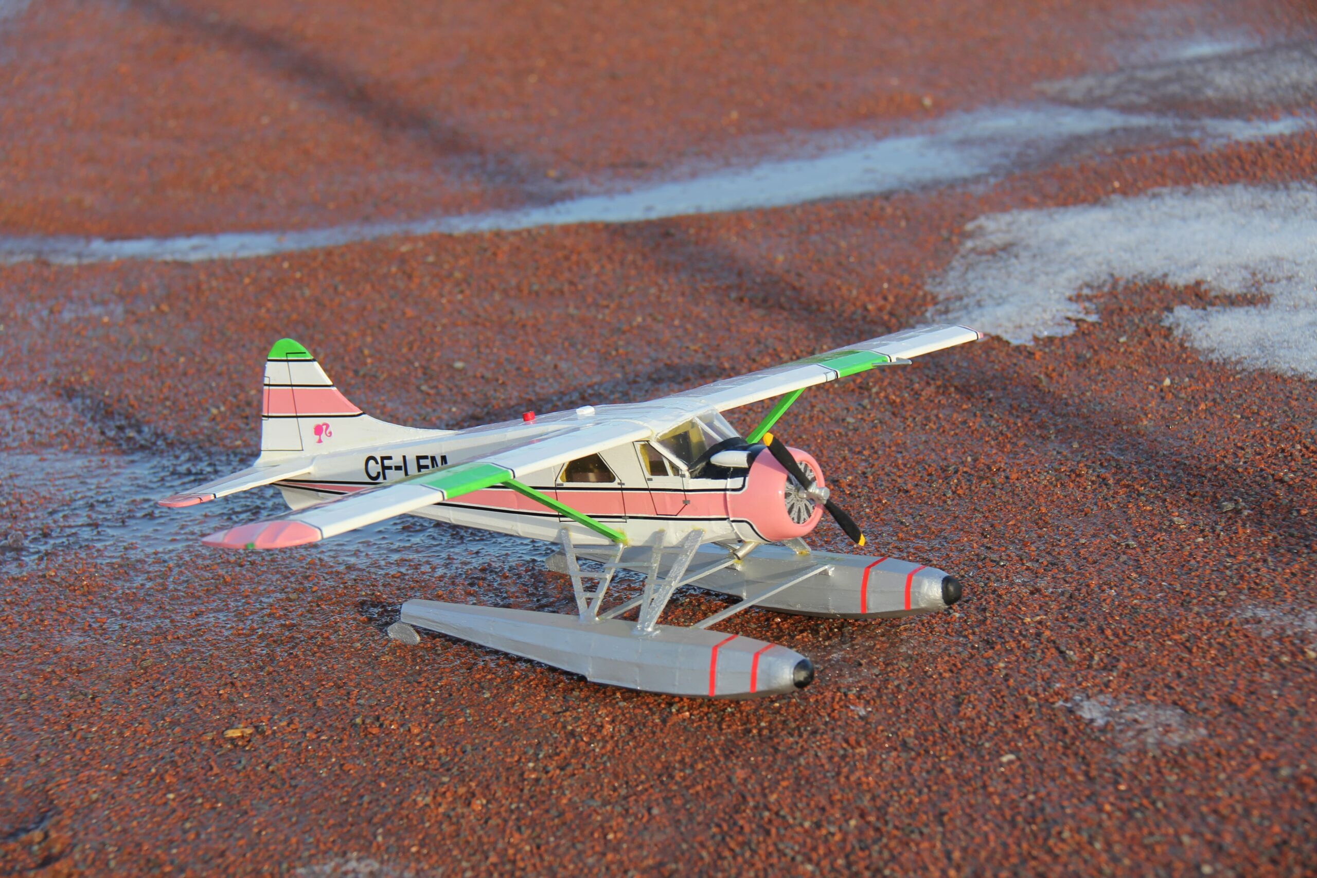 DHC-2 Beaver - Image 8