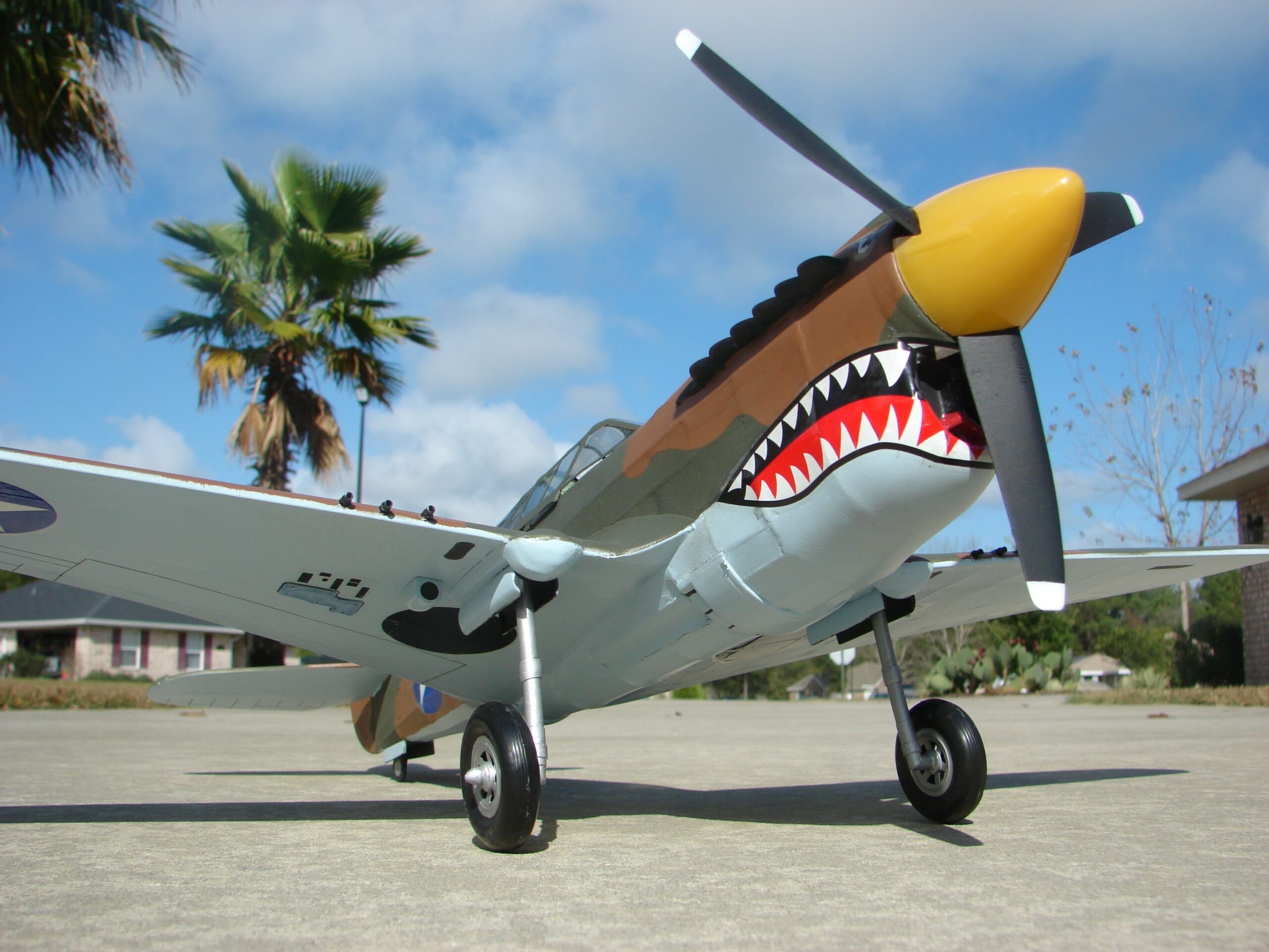 P-40 Warhawk. - Image 3