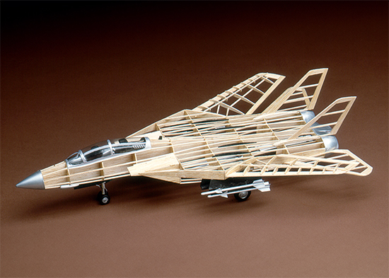 F-14 Tomcat - Image 3