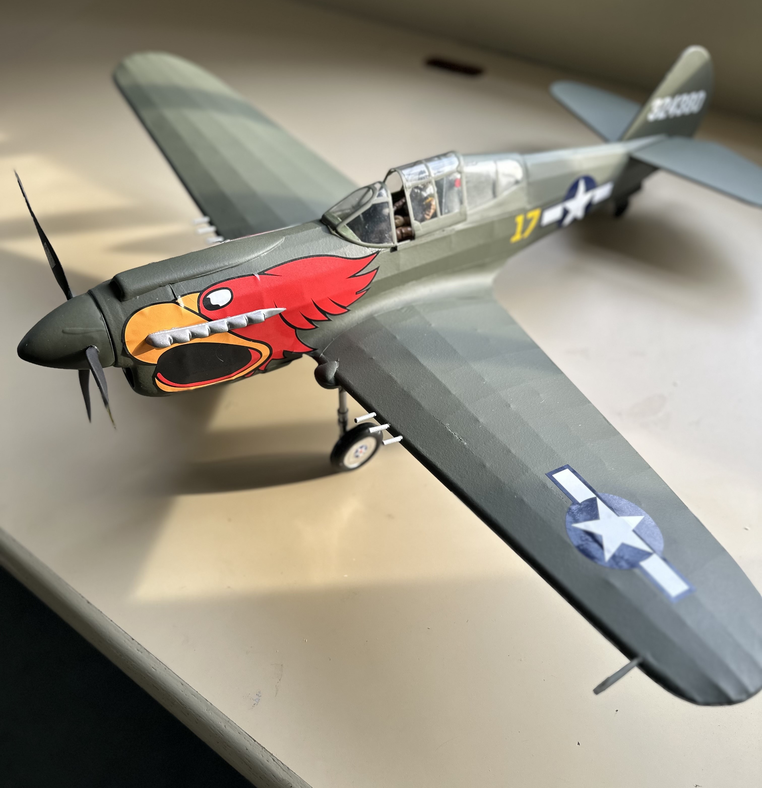 P-40 Warhawk