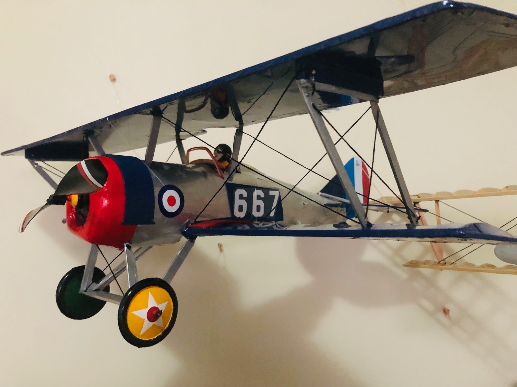 THOMAS-MORSE-SCOUT